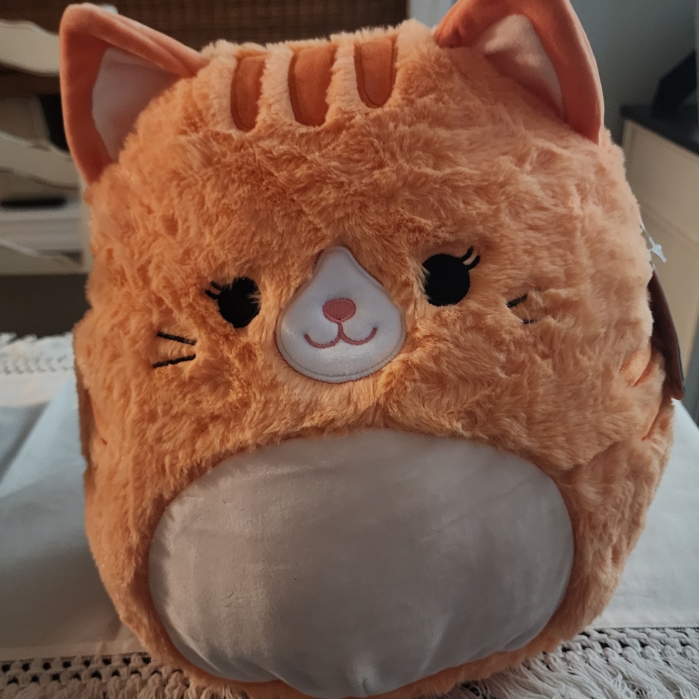 Squishmallows Orange and White Cat Plush